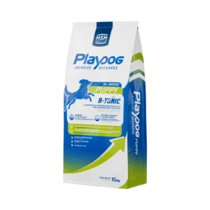 Playdog Puppy