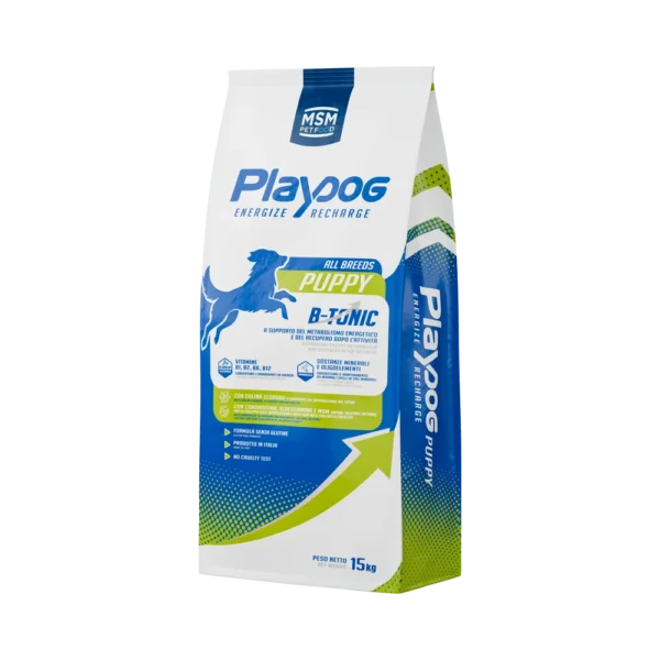 Playdog Puppy